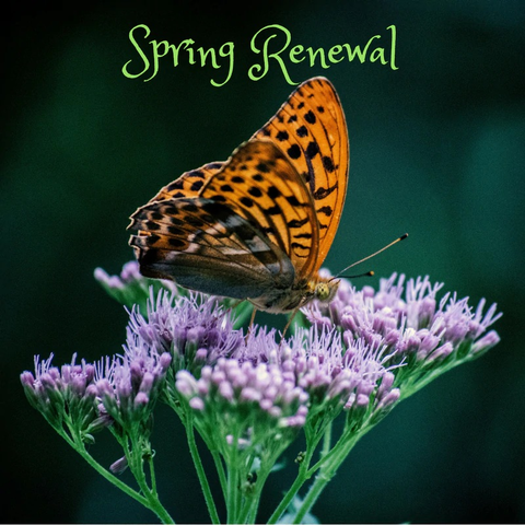 Spring Renewal Restorative